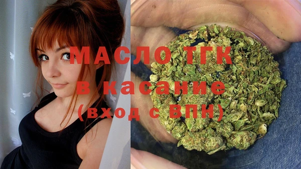 гидра Осинники