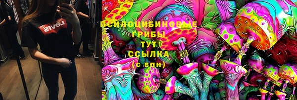 гидра Осинники