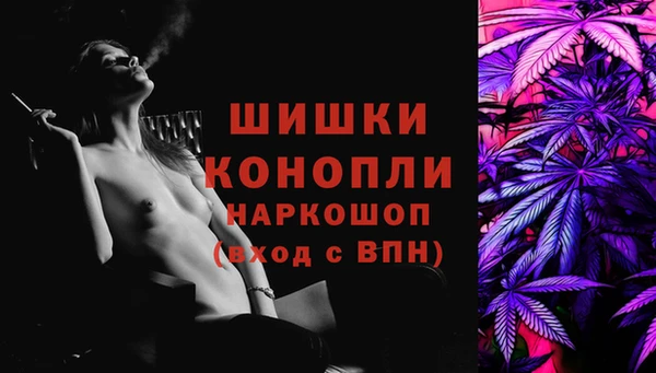 гидра Осинники